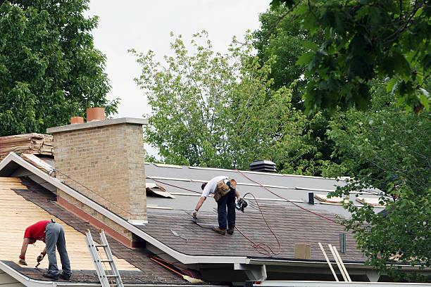 Best Roof Ventilation Installation  in Pecan Grove, TX